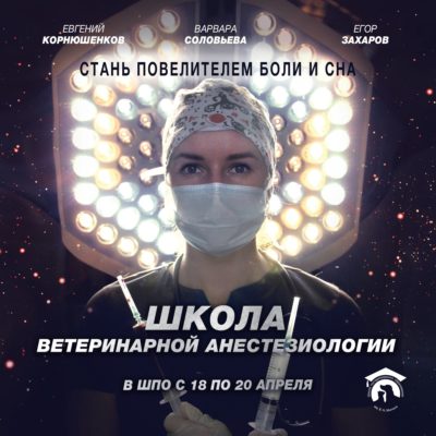 Модульное обучение «Школа ветеринарной анестезиологии»