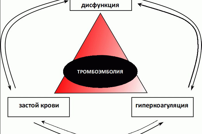 Рисунок 1
