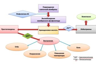 Упрощённая версия каскада арахидоновой кислоты и её роль в формировании воспаления